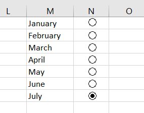 Radio-Buttons-Months-Excel